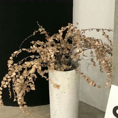 崇州福瑞交流群